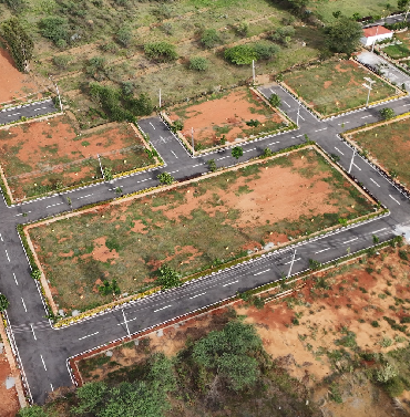 Urban Serenity Awaits at Apex Meadows